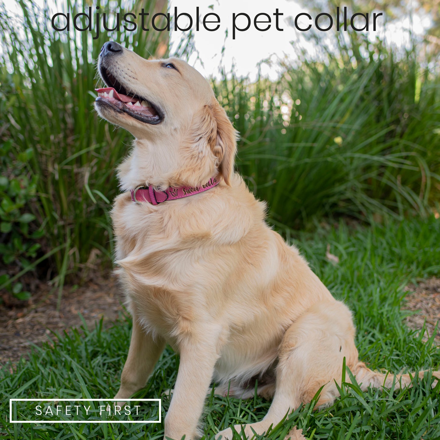 Pet Collars Design 6