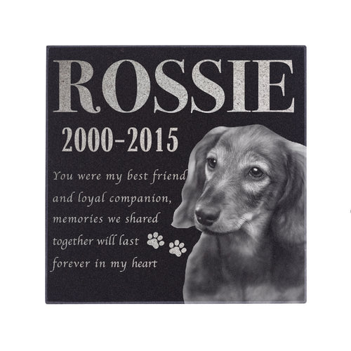 Memorial  Pet Stone D2