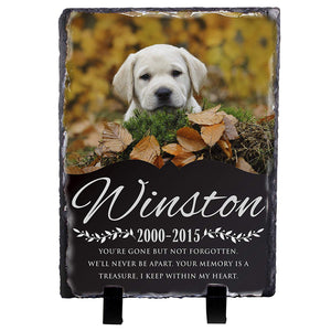 Memorial Colorful  Pet Stone D11