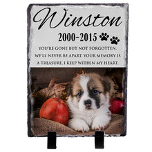 Load image into Gallery viewer, Memorial Colorful  Pet Stone D13