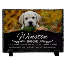 Load image into Gallery viewer, Memorial Colorful  Pet Stone D11