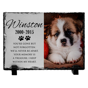 Memorial Colorful  Pet Stone D13