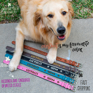 Pet Collars  Design 1