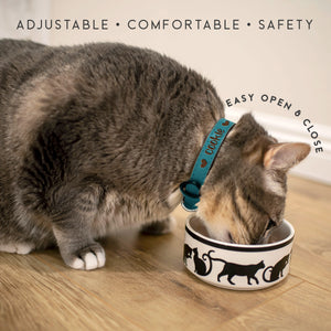 Pet Collars  Design 1