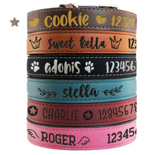 Load image into Gallery viewer, Pet Collars  Design 1
