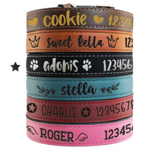 Load image into Gallery viewer, Pet Collars  Design 3