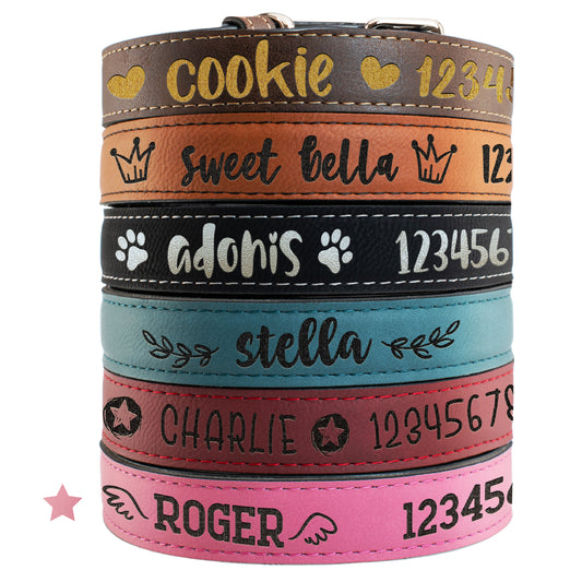 Pet Collars  Design 6