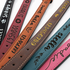 Pet Collars  Design 1